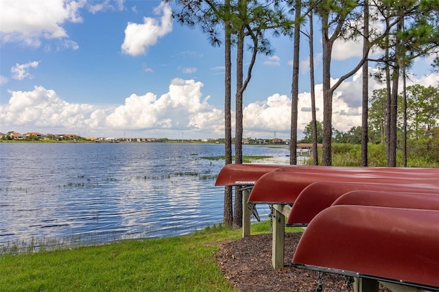 7837 Bostonian Dr, Winter Garden, FL 34787 - view of water feature