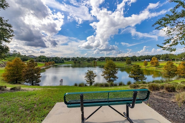 7837 Bostonian Dr, Winter Garden, FL 34787 - surrounding community featuring a water view