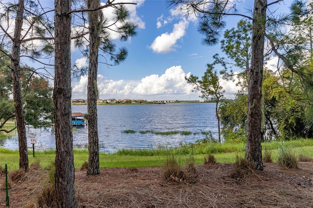 7837 Bostonian Dr, Winter Garden, FL 34787 - water view