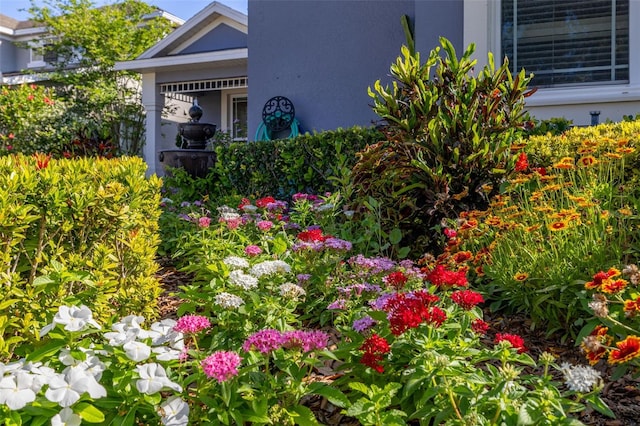 7837 Bostonian Dr, Winter Garden, FL 34787 - view of yard