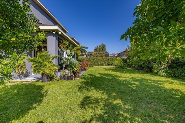 7837 Bostonian Dr, Winter Garden, FL 34787 - view of yard