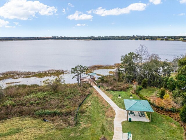 7193 Dilly Lake Ave, Groveland, FL 34736 - photo 41