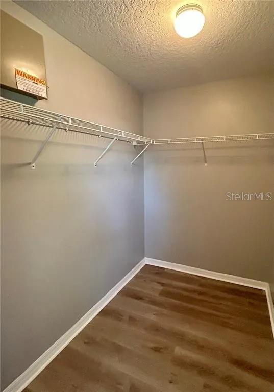 spacious closet featuring dark wood-style flooring