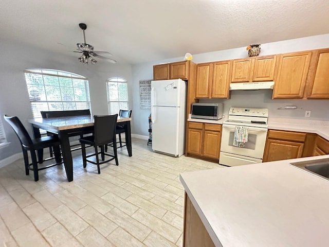 1002 Courtland St, Orlando, FL 32804 - photo 4