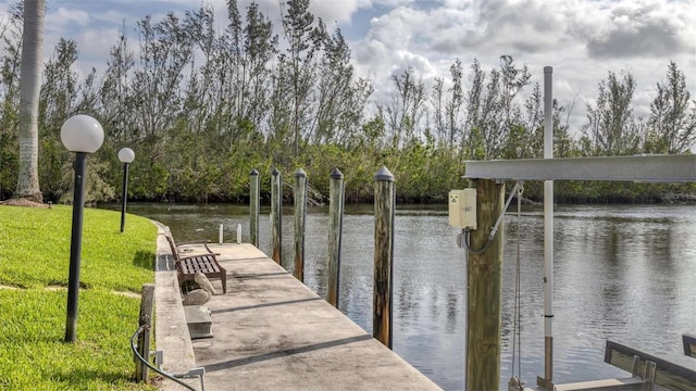 dock area with a yard and a water view
