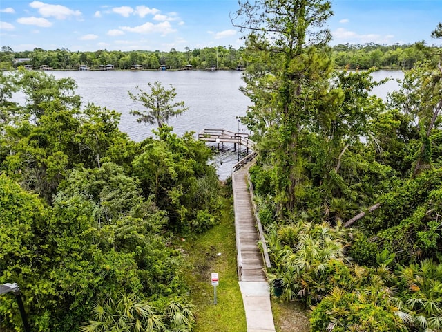 property view of water