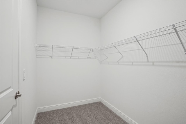 16484 Silver Brook Way, Winter Garden, FL 34787 - walk in closet with carpet flooring