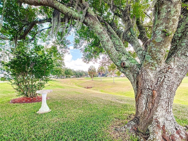 5060 NW 26th St, Ocala, FL 34482 - view of yard