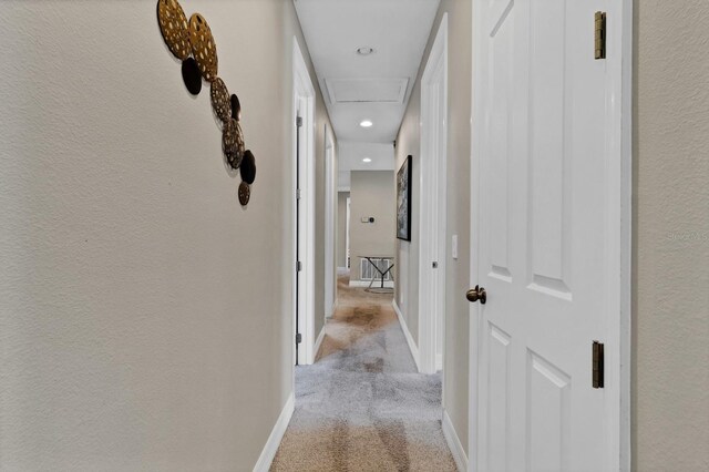 9014 Pelican Cove Trl, Kissimmee, FL 34747 - photo 48