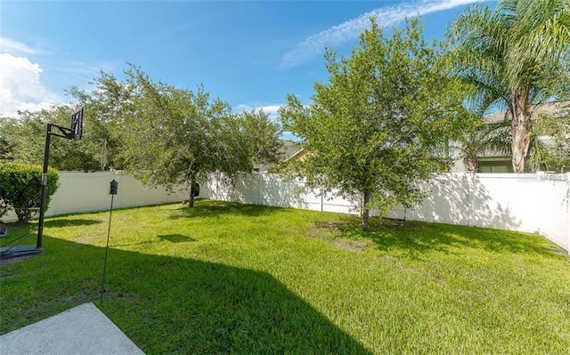 view of yard featuring a fenced backyard