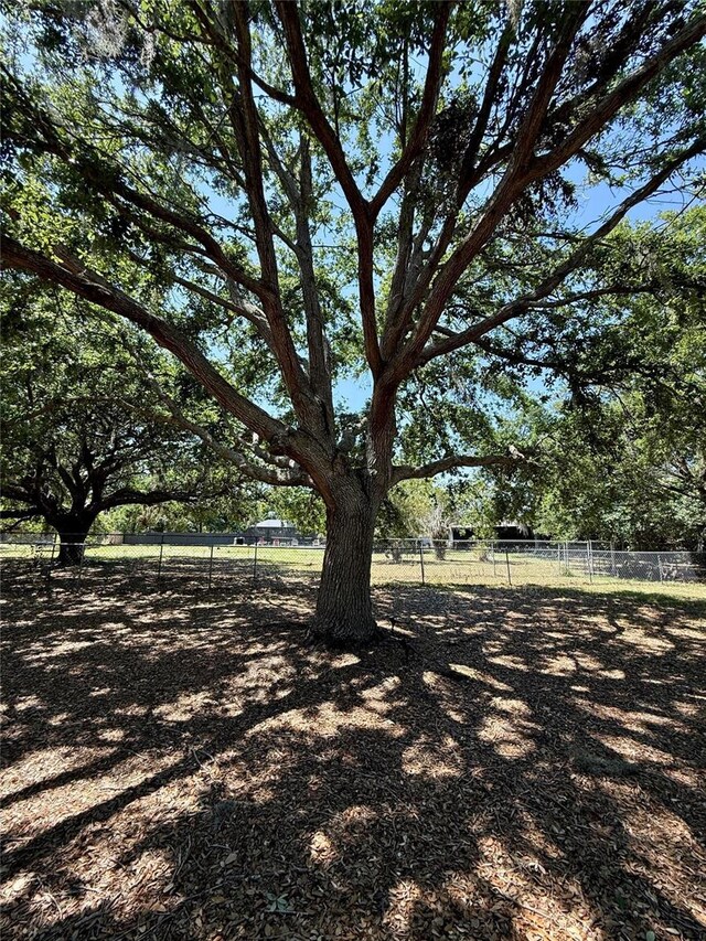 3652 Oak Grove Dr, Sarasota, FL 34243 - view of yard