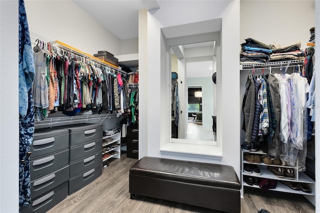 14749 Walcott Ave, Orlando, FL 32827 - spacious closet with wood finished floors