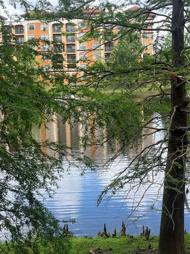 12539 Floridays Resort Dr Unit 208D, Orlando, FL 32821 - property view of water