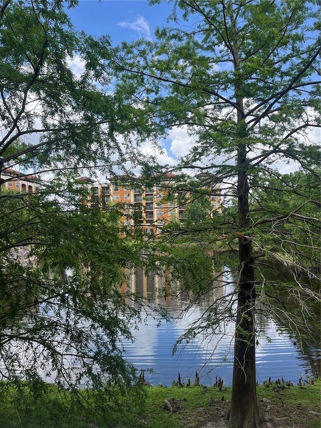 12539 Floridays Resort Dr Unit 208D, Orlando, FL 32821 - property view of water