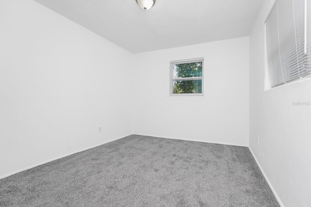 511 S Alder Ave, Orlando, FL 32807 - photo 15