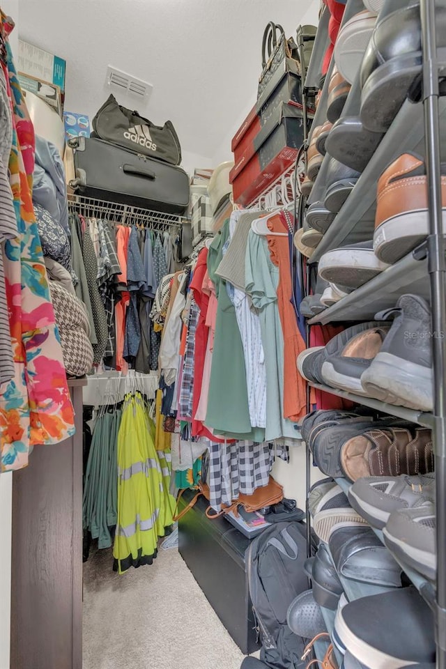 8213 Claire Ann Dr Unit 108, Orlando, FL 32825 - spacious closet with carpet flooring