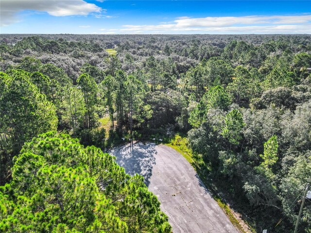 1254 Wahneta Dr, Kissimmee, FL 34759 - photo 5