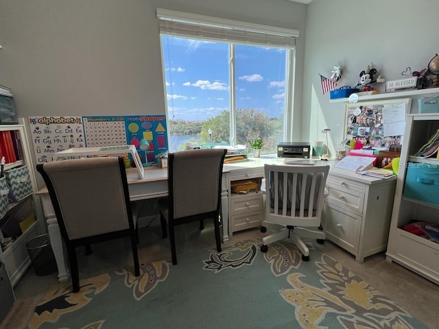 office with carpet