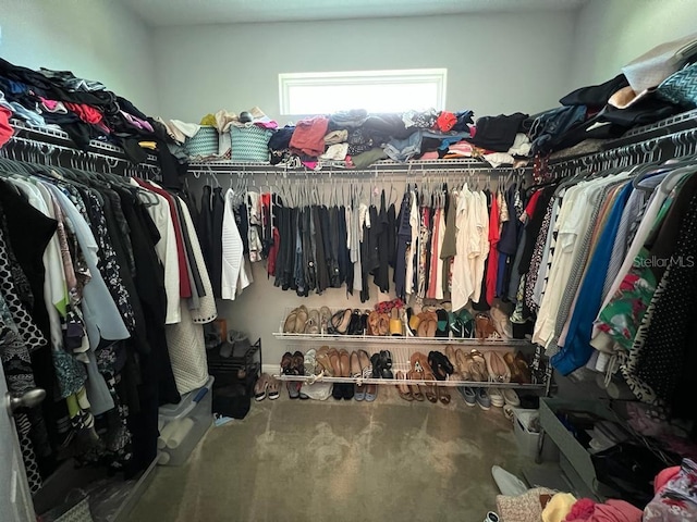 spacious closet with carpet floors