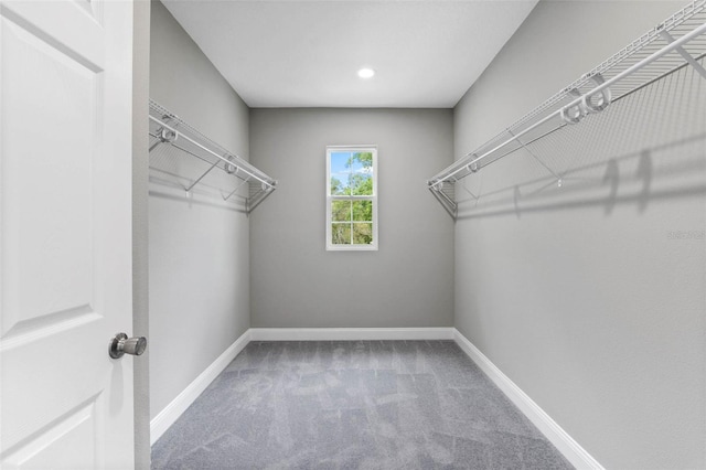 3 Orange Blossom Dr, Eustis, FL 32726 - spacious closet with carpet floors