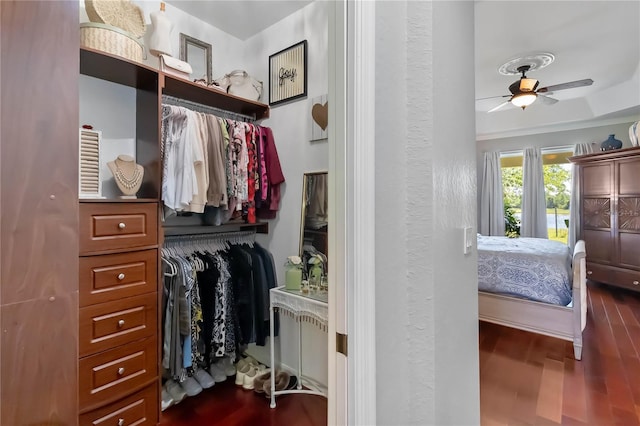 interior space with a textured wall, dark wood-type flooring, and a closet