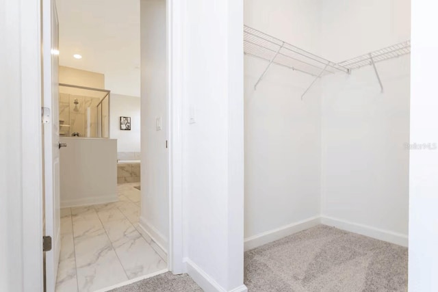 1013 Leader St, Davenport, FL 33896 - spacious closet with marble finish floor and carpet