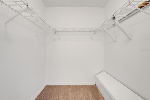 1517 Abberton Dr, Orlando, FL 32837 - spacious closet with light colored carpet