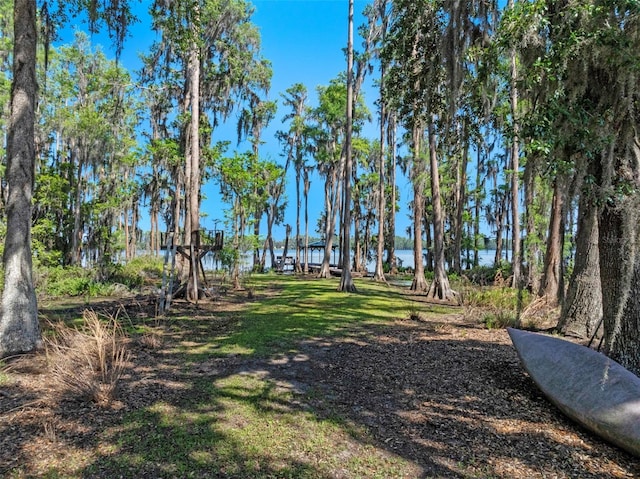 6037 Lake Erie Rd, Groveland, FL 34736 - view of yard