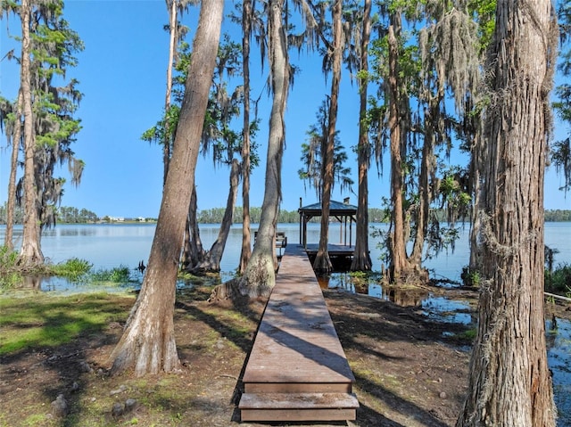 6037 Lake Erie Rd, Groveland, FL 34736 - dock with a water view