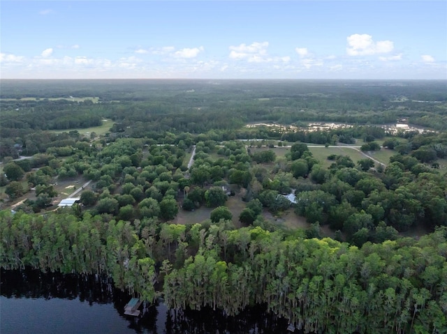 6037 Lake Erie Rd, Groveland, FL 34736 - drone / aerial view of a forest and a large body of water