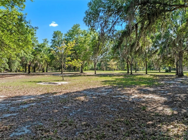 6037 Lake Erie Rd, Groveland, FL 34736 - view of yard