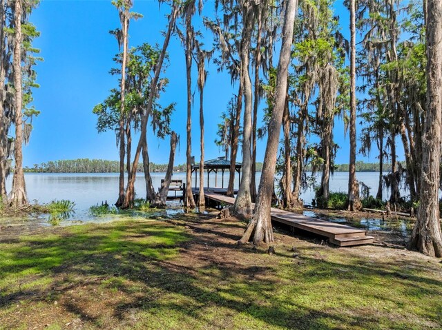 6037 Lake Erie Rd, Groveland, FL 34736 - view of green lawn with a water view