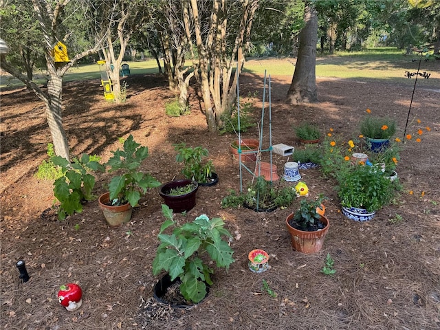 6037 Lake Erie Rd, Groveland, FL 34736 - view of yard