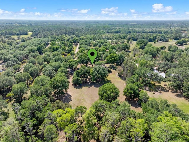 6037 Lake Erie Rd, Groveland, FL 34736 - aerial view of a forest