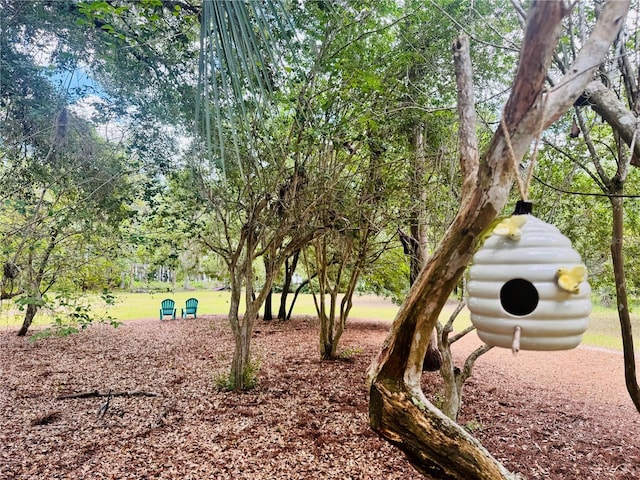 6037 Lake Erie Rd, Groveland, FL 34736 - view of home's community