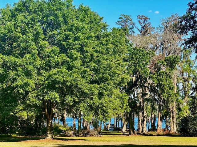 6037 Lake Erie Rd, Groveland, FL 34736 - surrounding community featuring a lawn