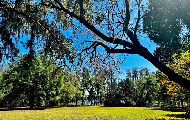 6037 Lake Erie Rd, Groveland, FL 34736 - view of home's community featuring a lawn