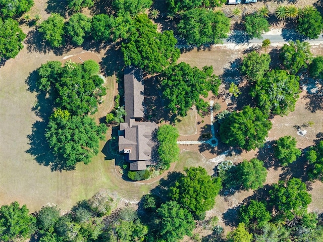 6037 Lake Erie Rd, Groveland, FL 34736 - aerial view of property and surrounding area