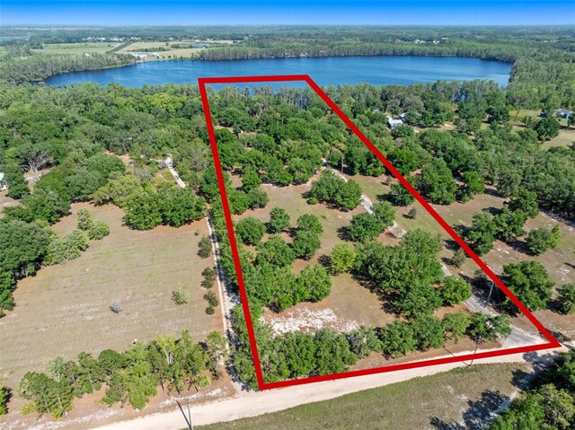 6037 Lake Erie Rd, Groveland, FL 34736 - aerial overview of property's location featuring a nearby body of water, a forest, and property boundaries highlighted