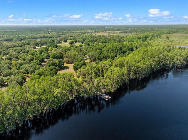 6037 Lake Erie Rd, Groveland, FL 34736 - bird's eye view of a forest and a large body of water
