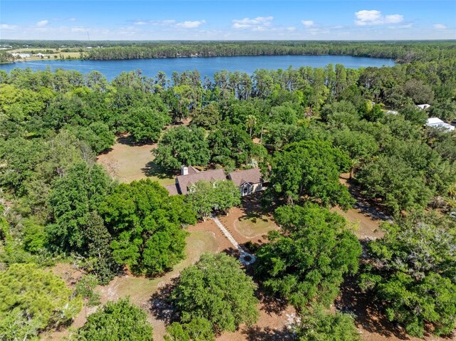 6037 Lake Erie Rd, Groveland, FL 34736 - aerial overview of property's location featuring a nearby body of water and a heavily wooded area