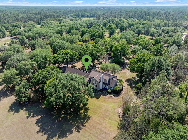 6037 Lake Erie Rd, Groveland, FL 34736 - aerial view of property and surrounding area featuring a forest