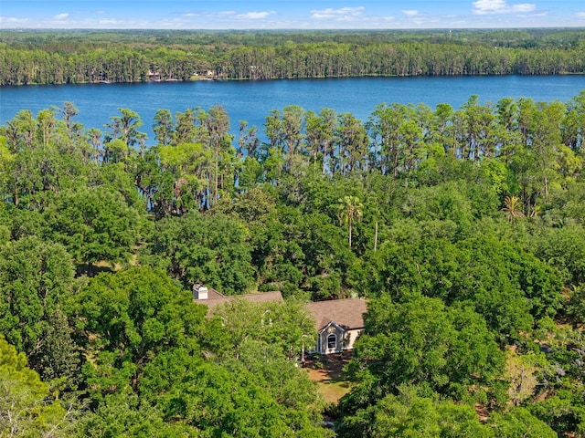 6037 Lake Erie Rd, Groveland, FL 34736 - drone / aerial view of a forest and a large body of water