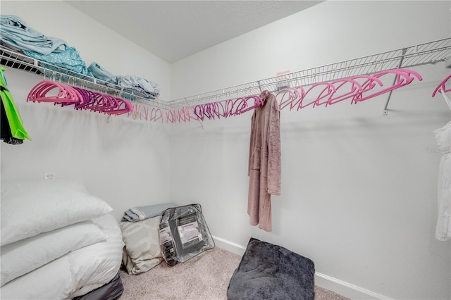 walk in closet with carpet flooring