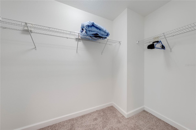 spacious closet featuring light carpet