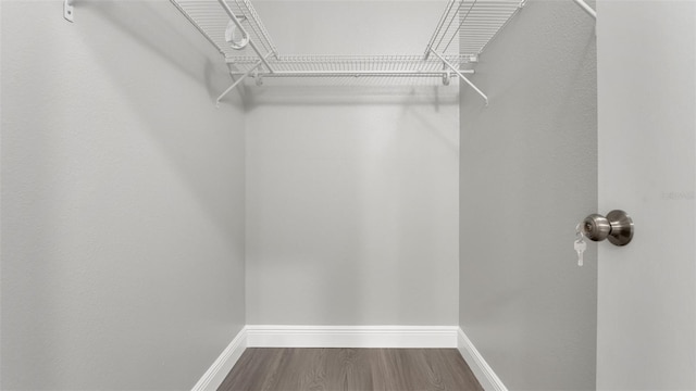 1027 Dees Dr, Oviedo, FL 32765 - walk in closet with wood finished floors