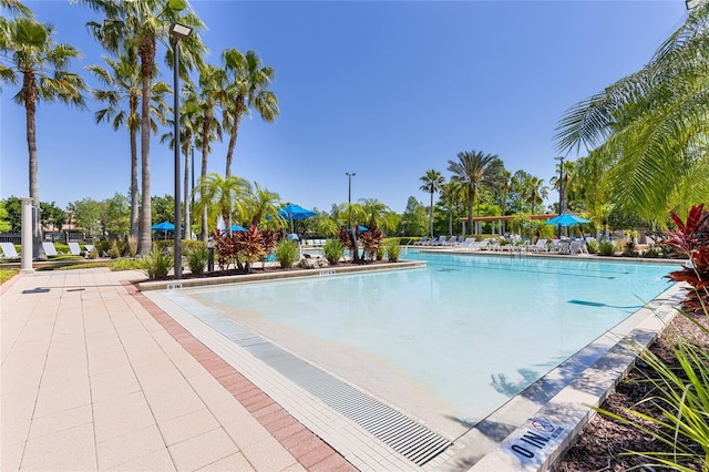 8296 Portofino Dr Unit 405, Davenport, FL 33896 - view of community pool