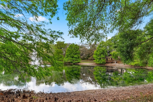 view of water feature