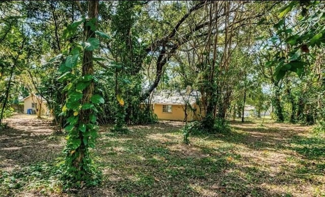 2902 Little Rd, Valrico, FL 33596 - view of yard