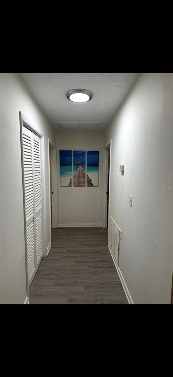 2902 Little Rd, Valrico, FL 33596 - hall featuring visible vents, baseboards, and wood finished floors